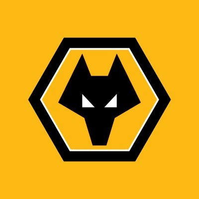 Wolvesacademy