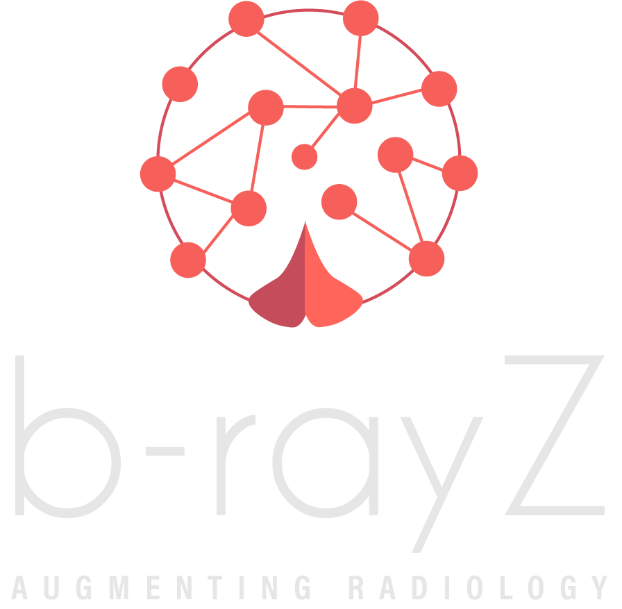 b-rayZ