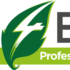 P4 Energy Srl