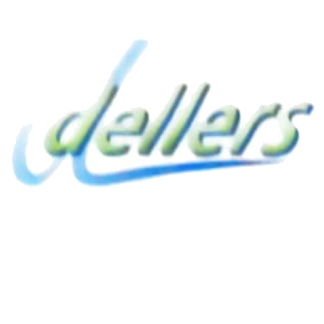 Dellers Informatik AG