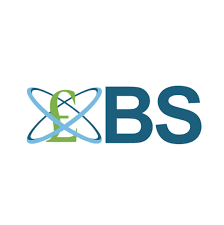 BS Consulting