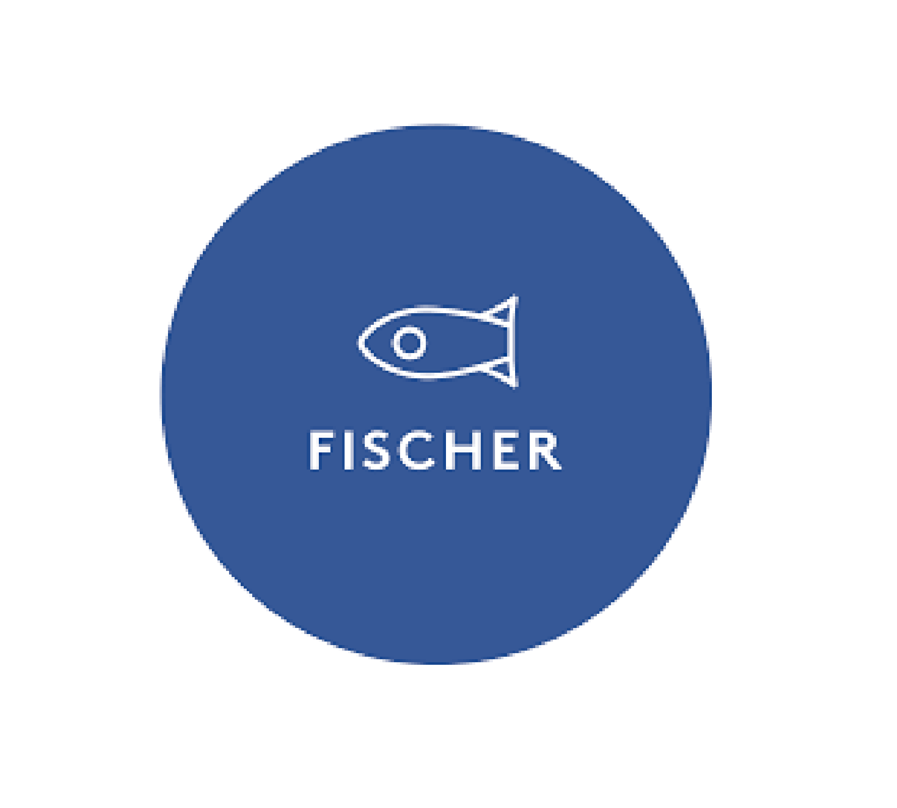 Fischer System Technik AG