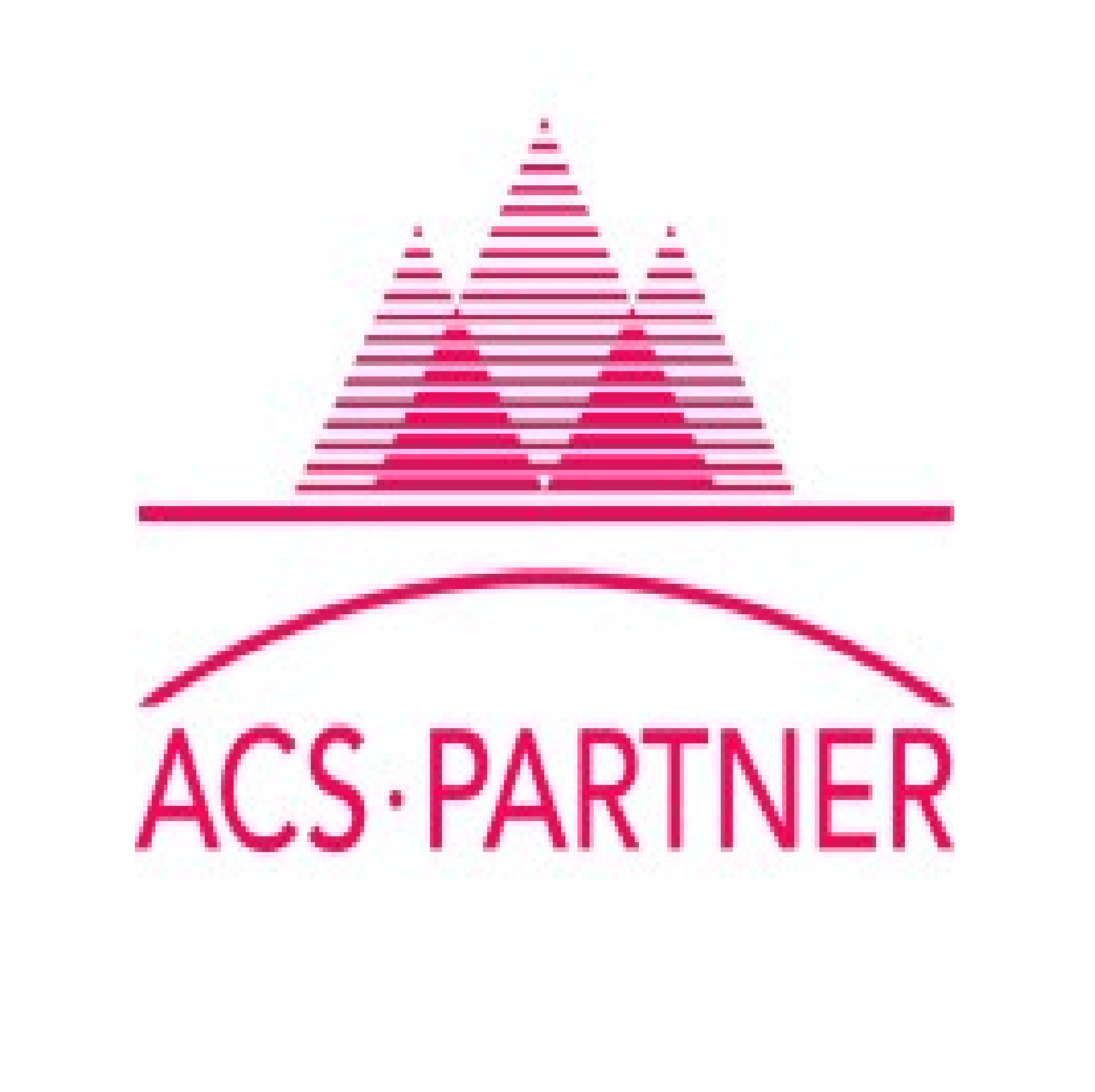 ACS Partner AG