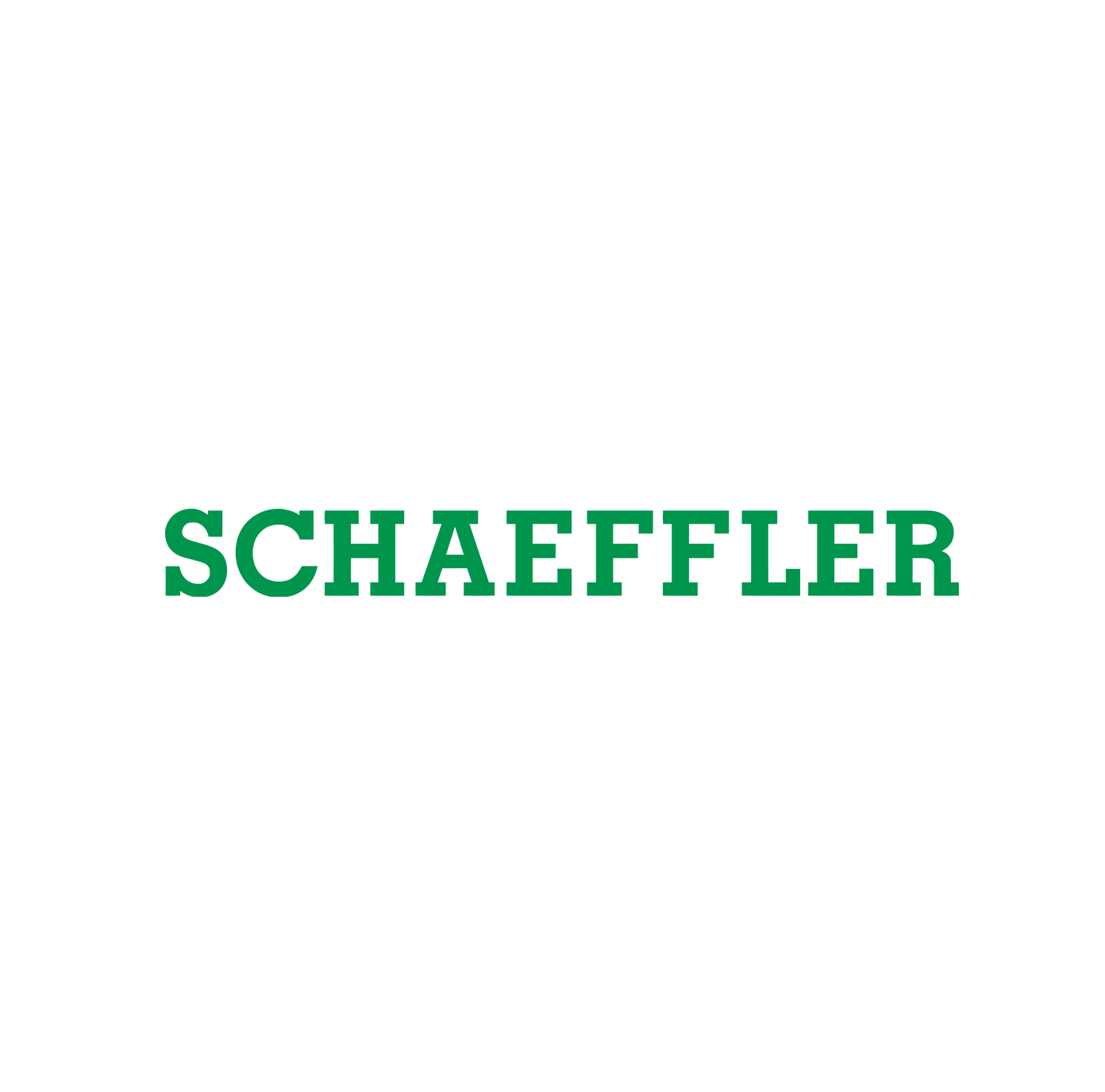 Schaeffler Elgoibar (Spanien)