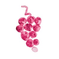 Weinhandlung Ritschard
