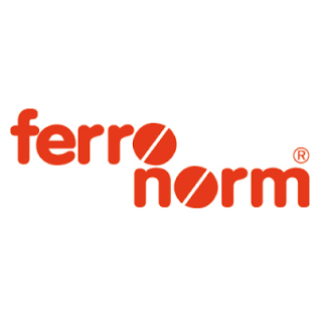 Ferronorm AG