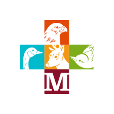 Medicine River Wildlife Center