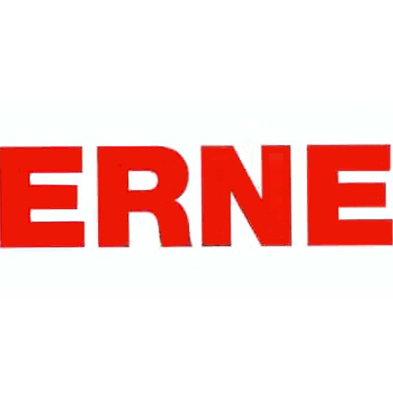 Erne Management AG