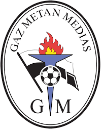 Gas Metan