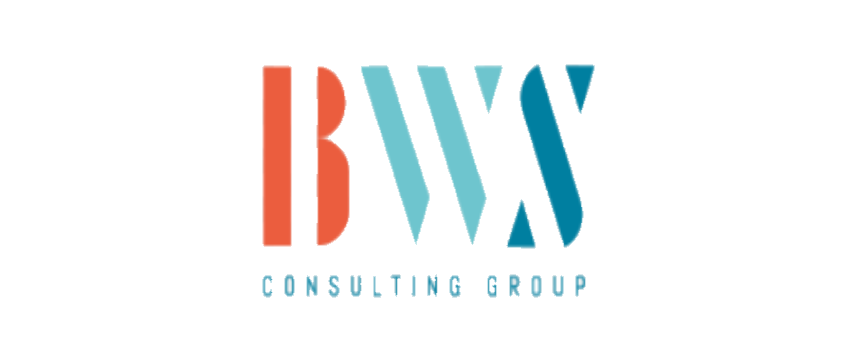 Firma BWS Consulting