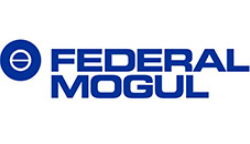 Federal-Mogul Burscheid GmbH