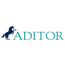 Aditor Allard und Molitor GmbH