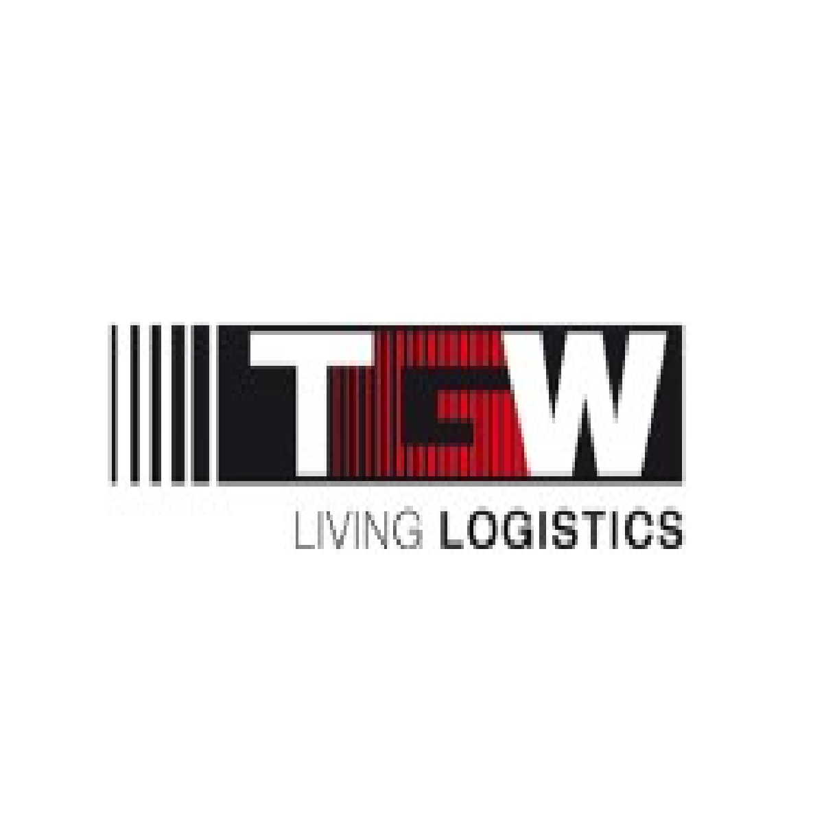 TGW Mechanic´s