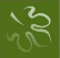 FINANCIAL INSURANCE GROUP
