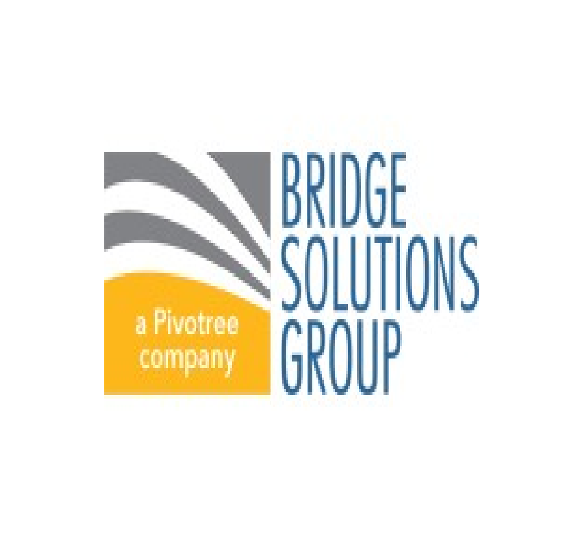 bridge solutions Inc.