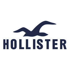 Hollister & Co Company