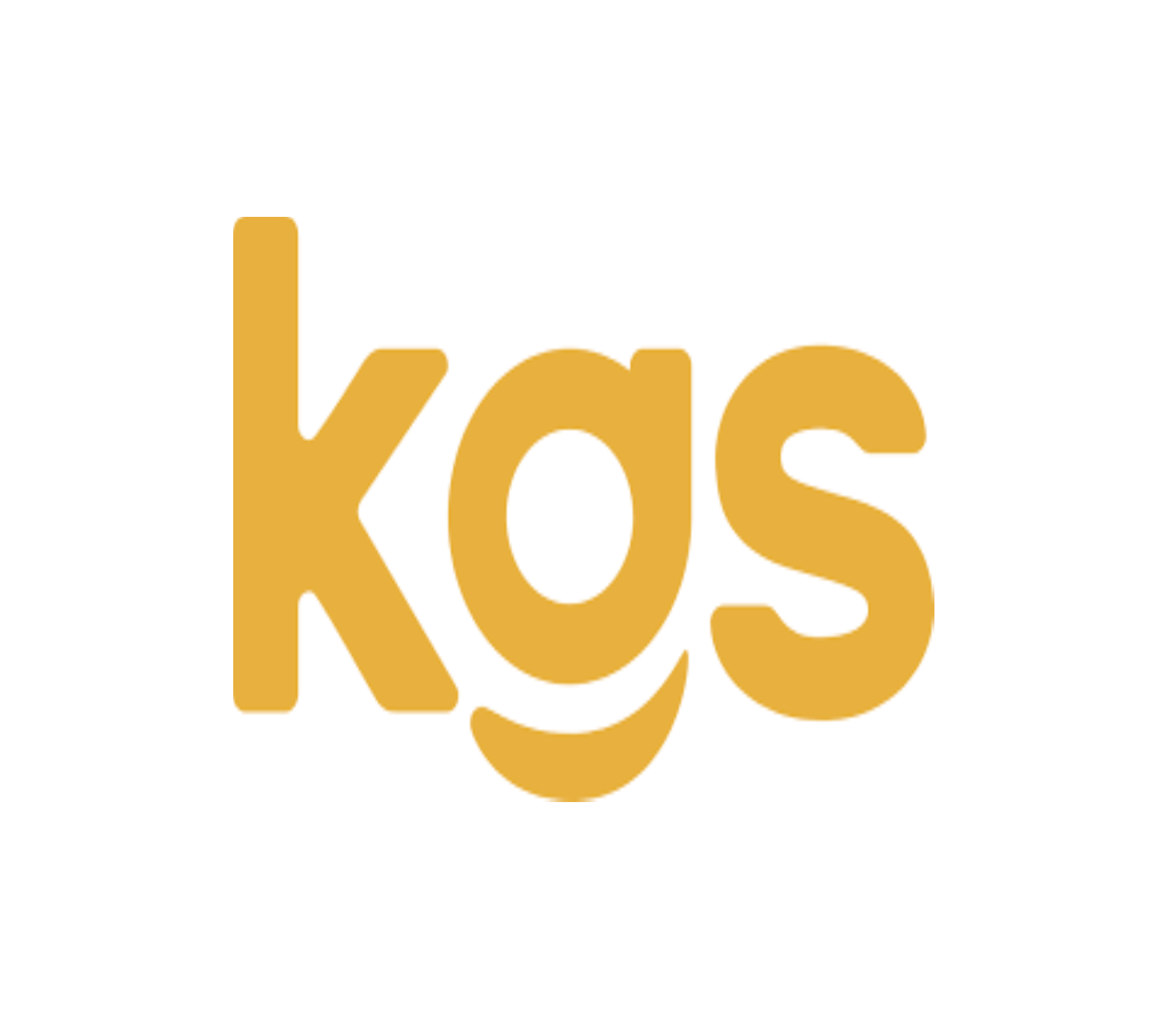 KGS Software GmbH & Co. KG
