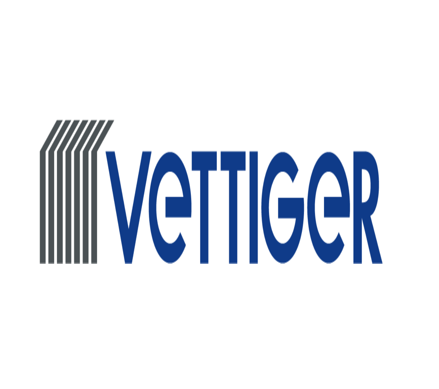 Vettiger AG
