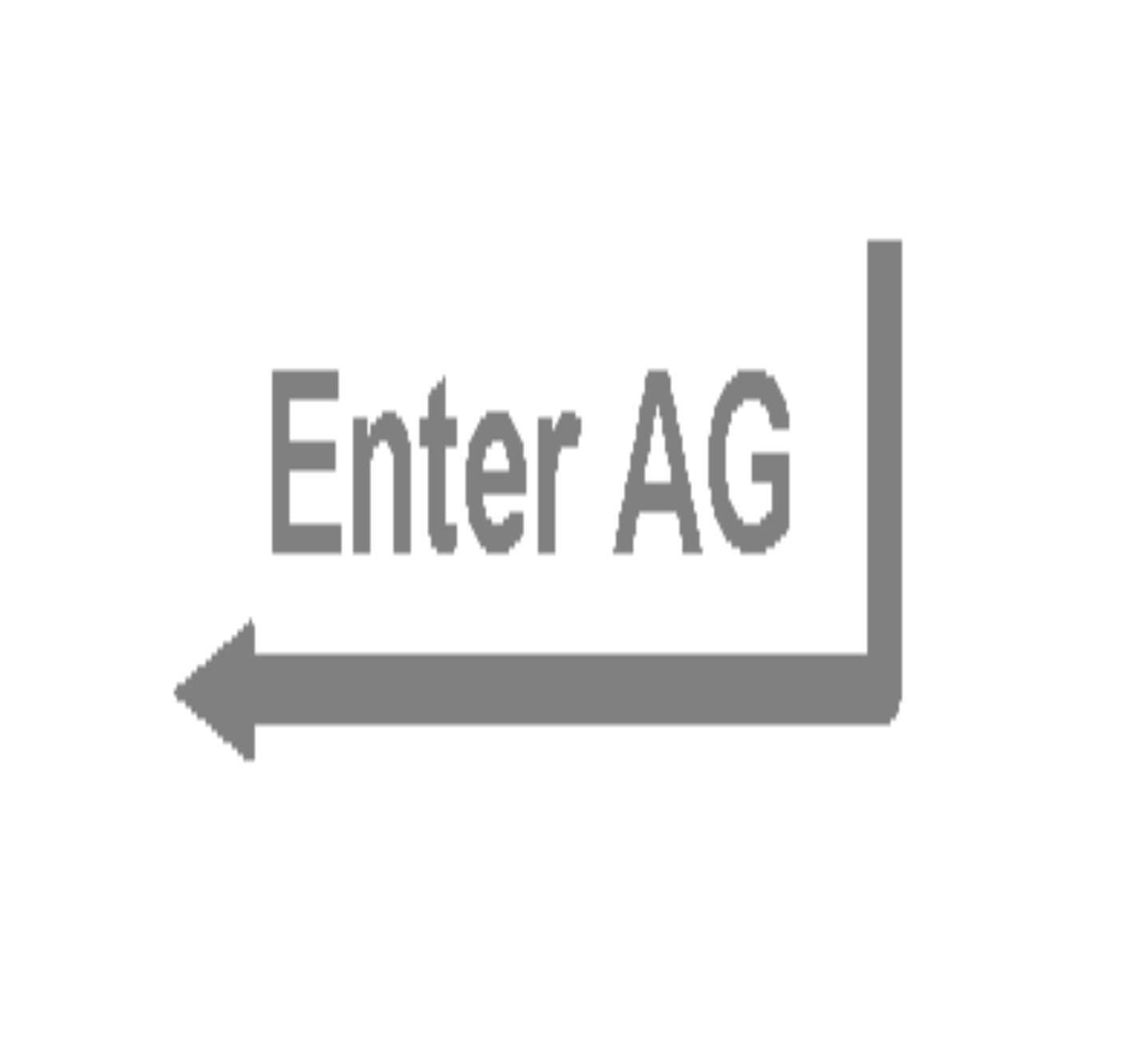 Enter AG