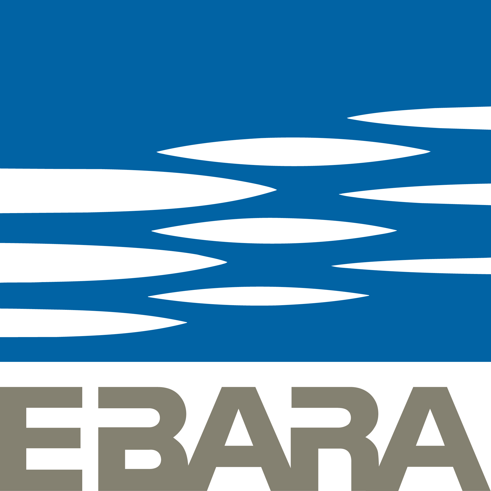 Ebara Precision Machinery Europe GmbH