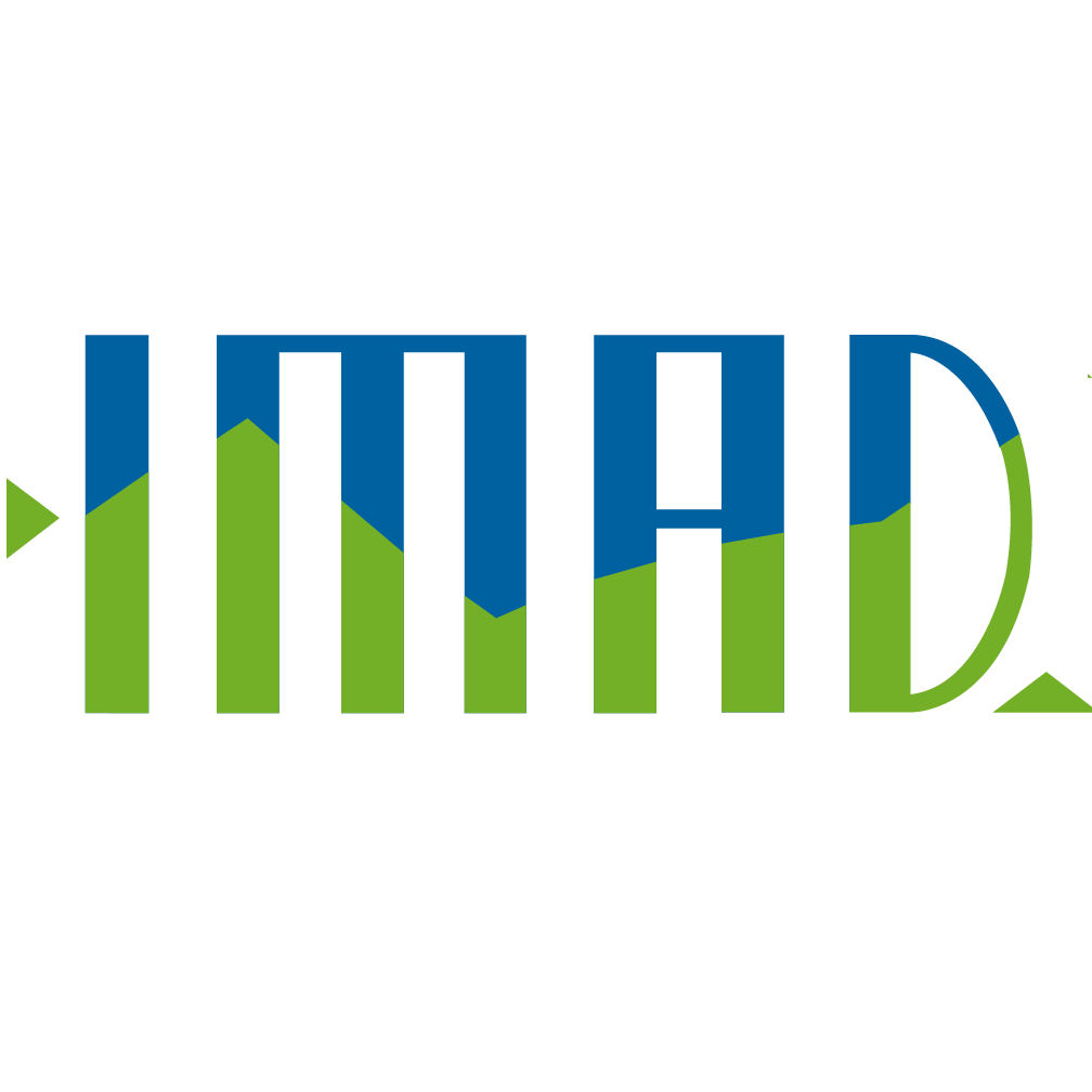 IMAD Institut für Marktforschung und Datenanalyse