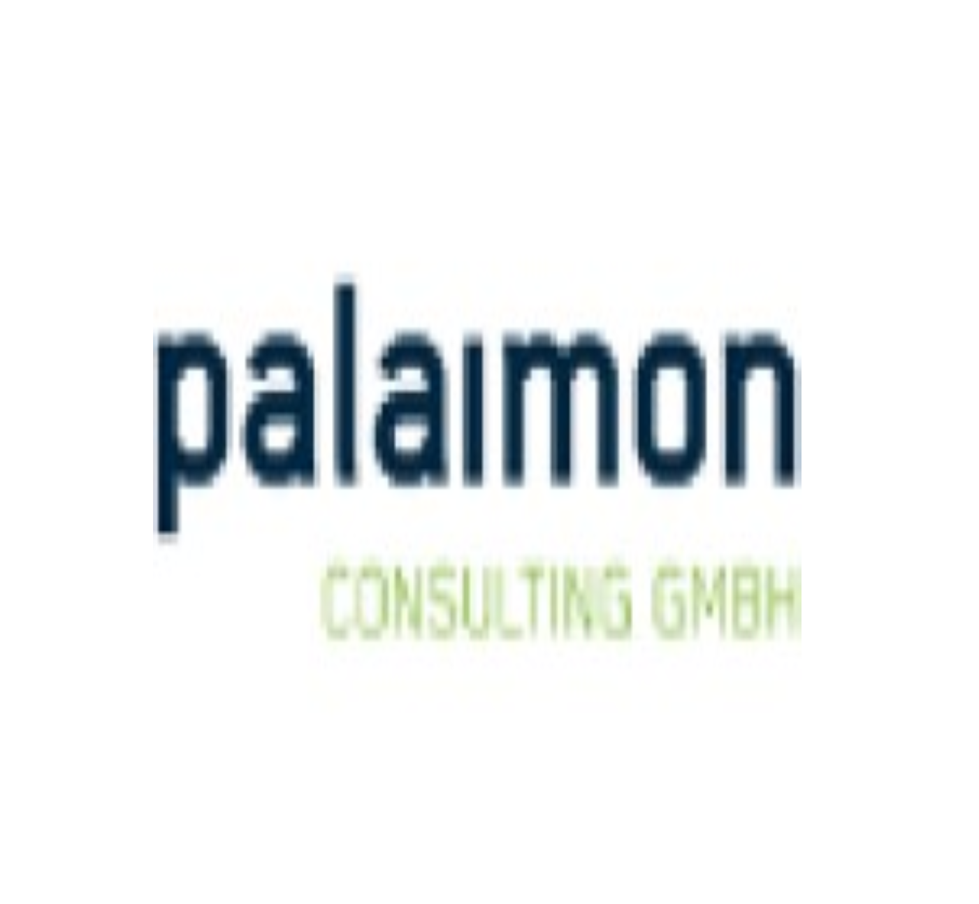 Palaimon Consulting GmbH