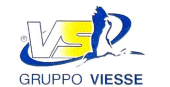 Gruppo Viesse Spa