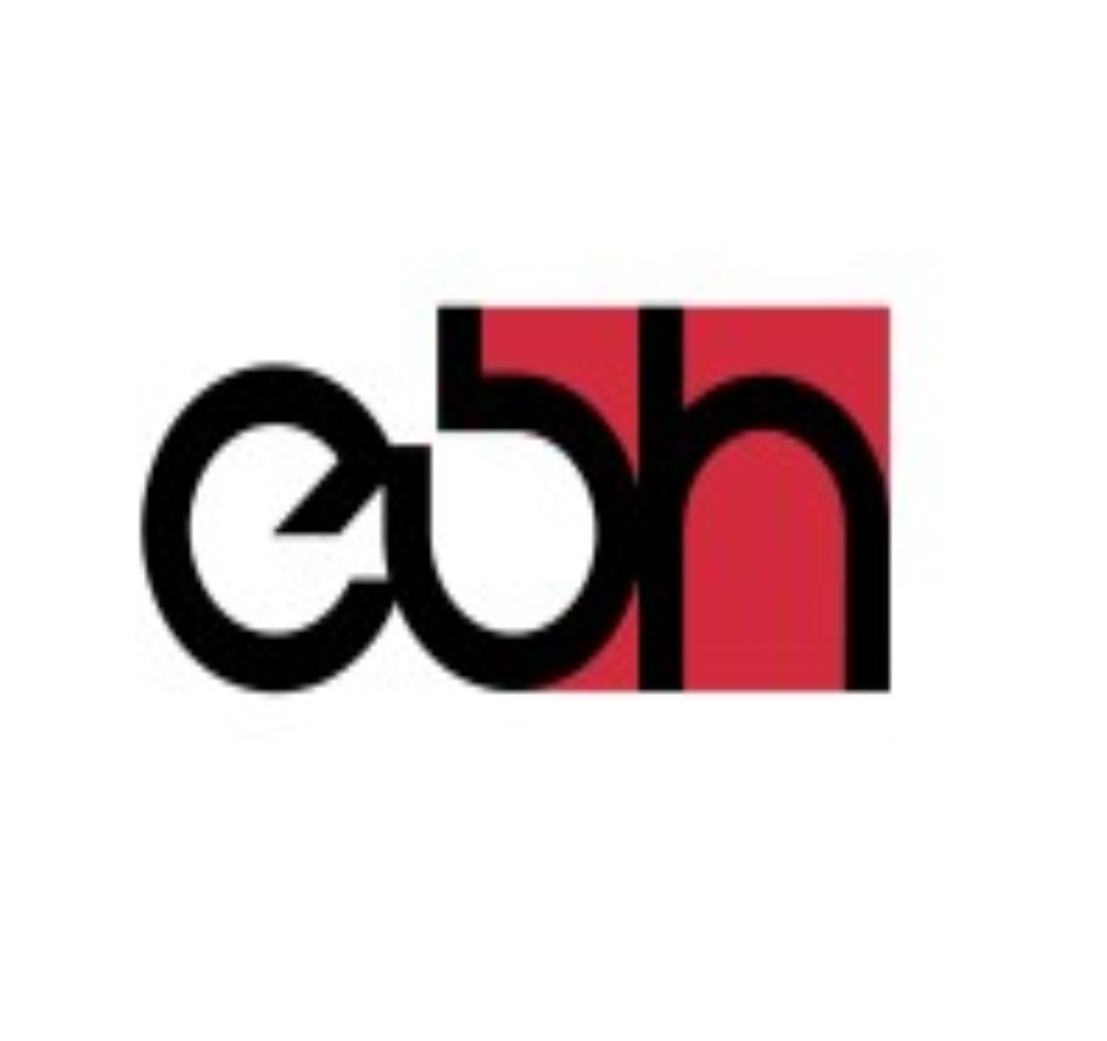 Bingesser Huber Elektro AG