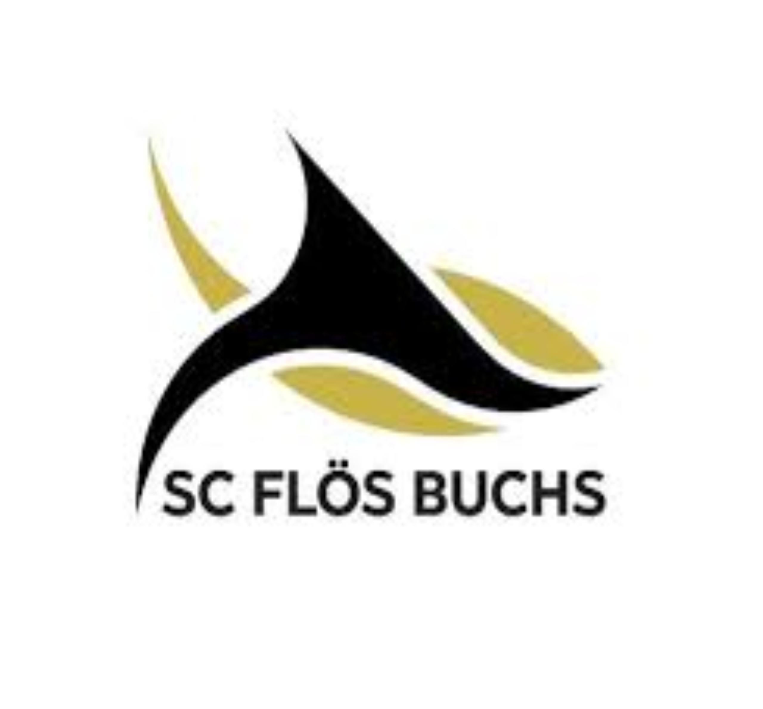 Treuhandbüro Buchex AG