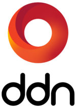 DDN Storage