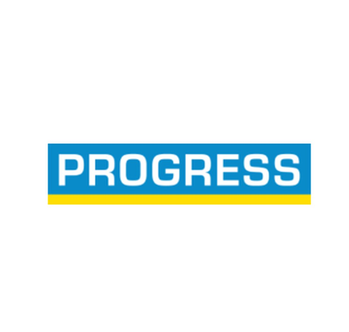 Progress Holding AG