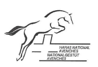Haras National Avenches