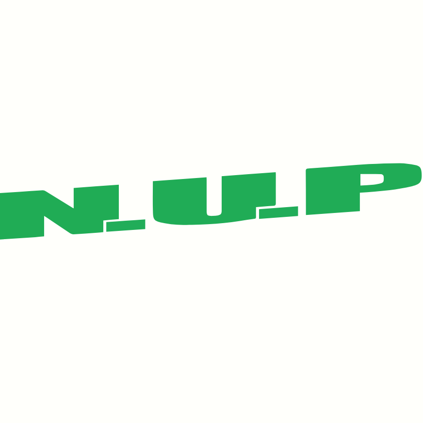N.U.P GmbH