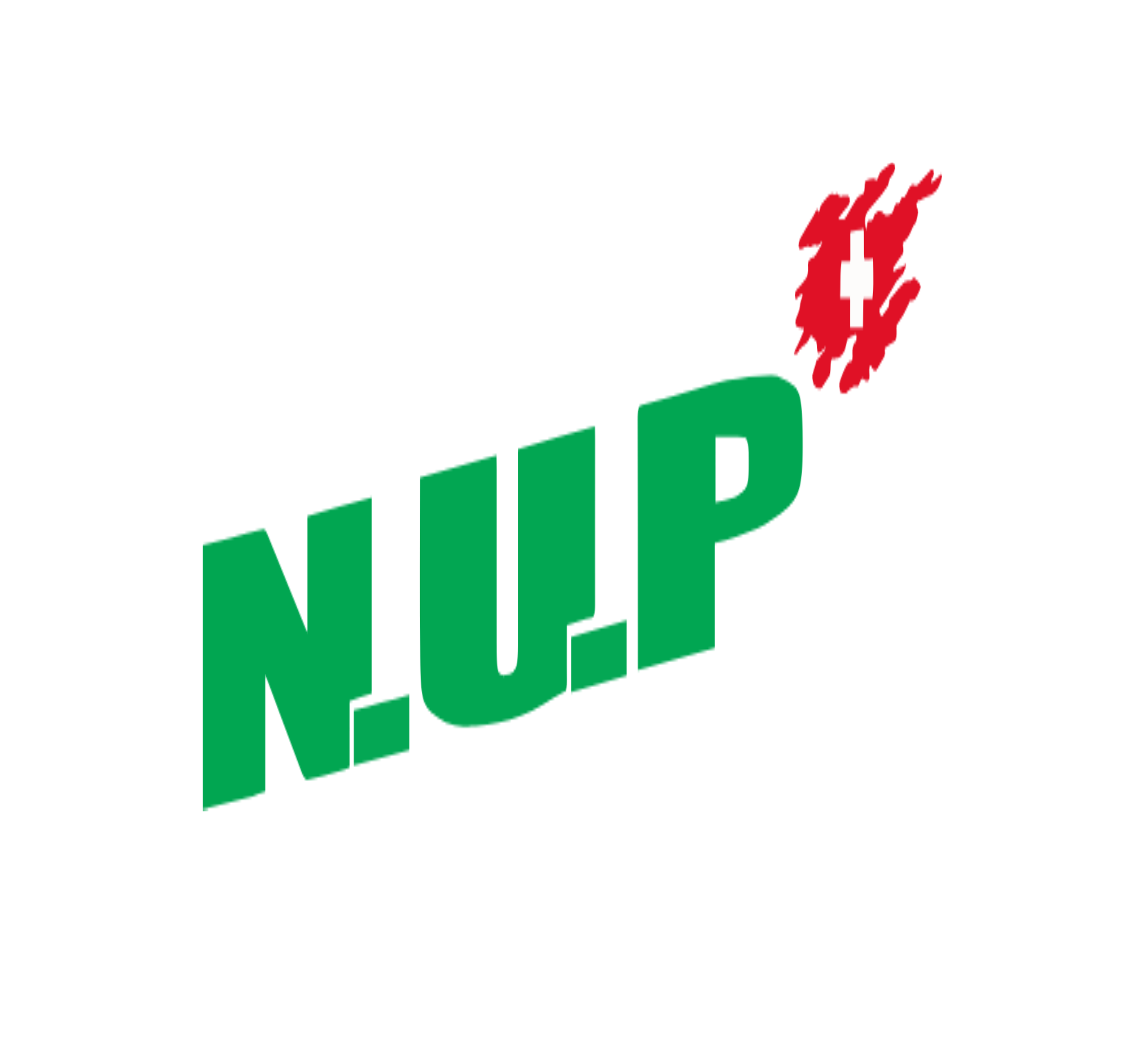 N.U.P Umweltpflegetechnik GmbH