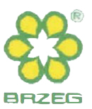 NZPT S.A.