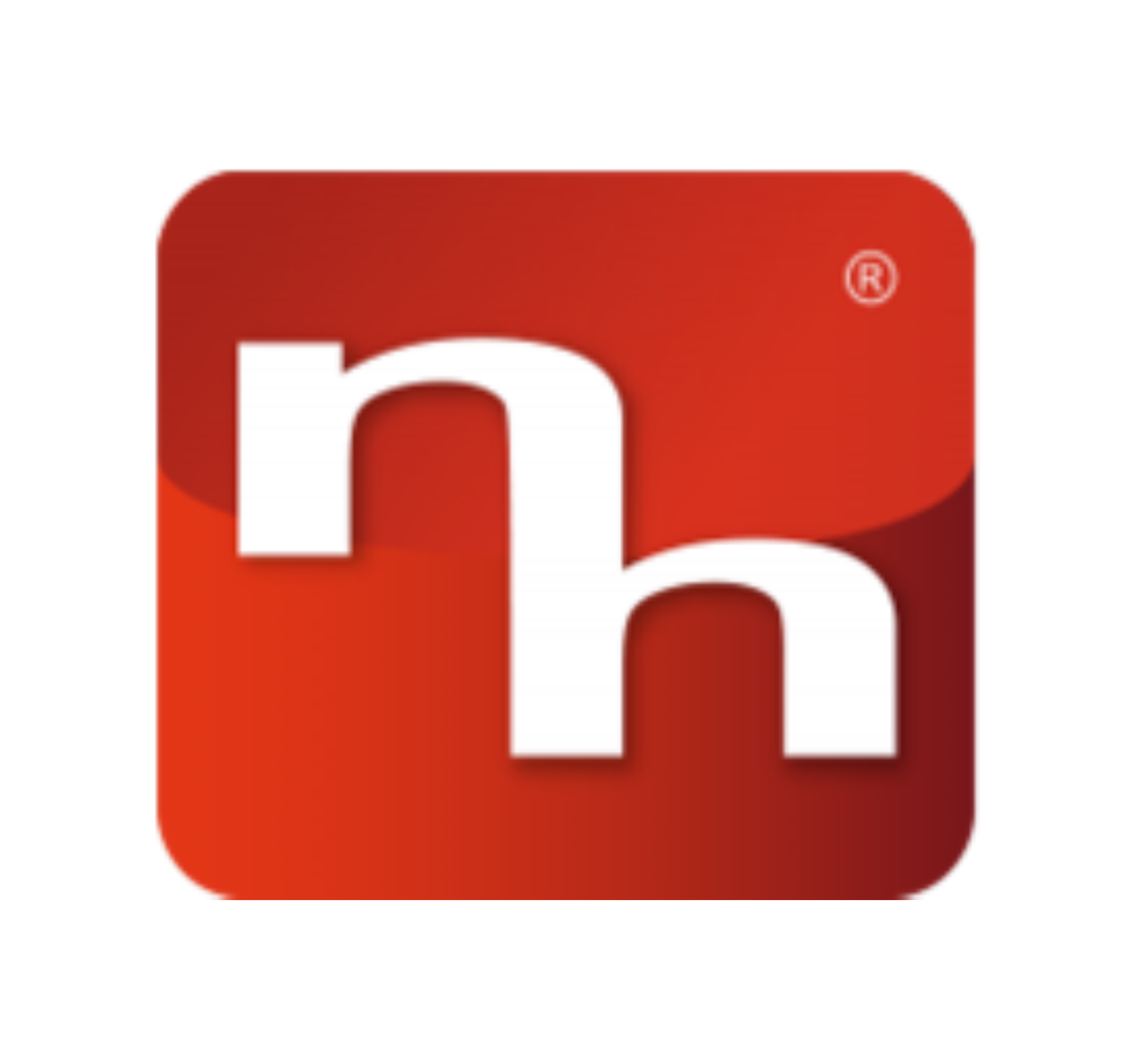 Norbert Heinz Consulting GmbH & Co. KG