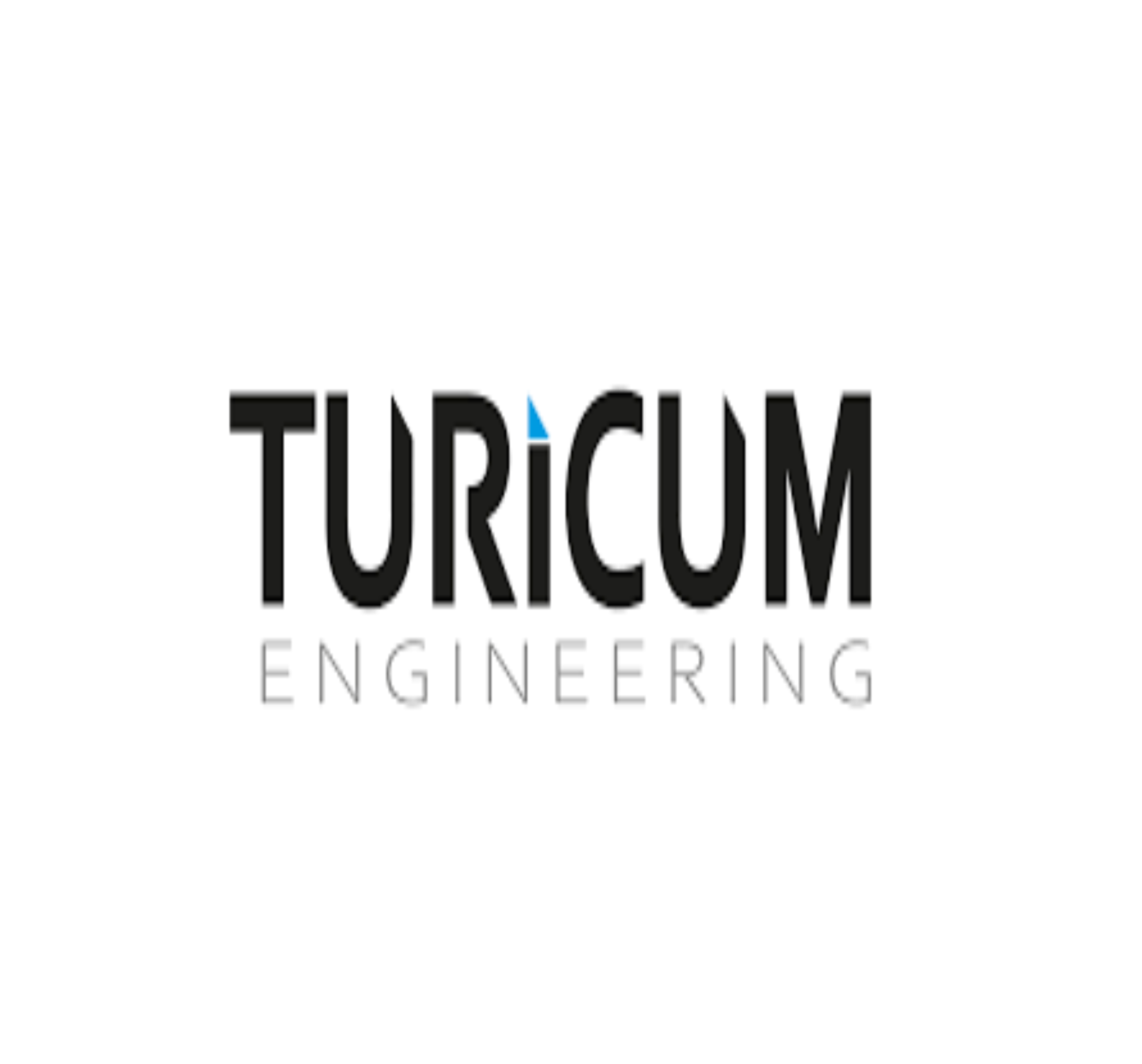 Turicum Services AG