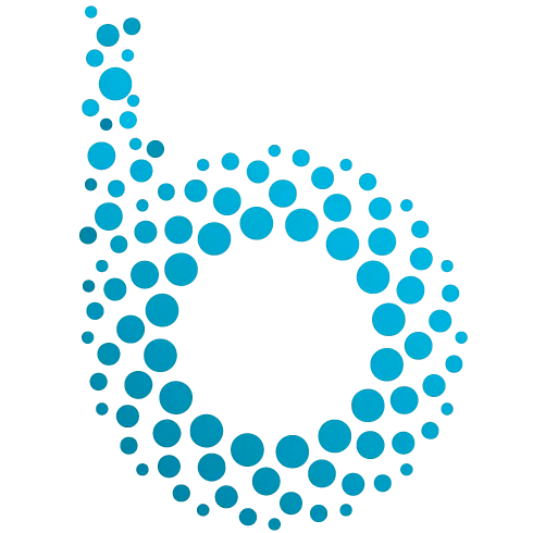 Blueberry Srl