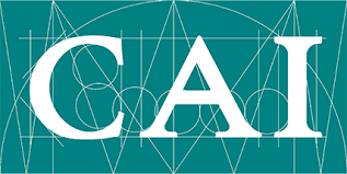 Cai Ingenieros Proyectistas S L