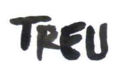 TREU media GmbH
