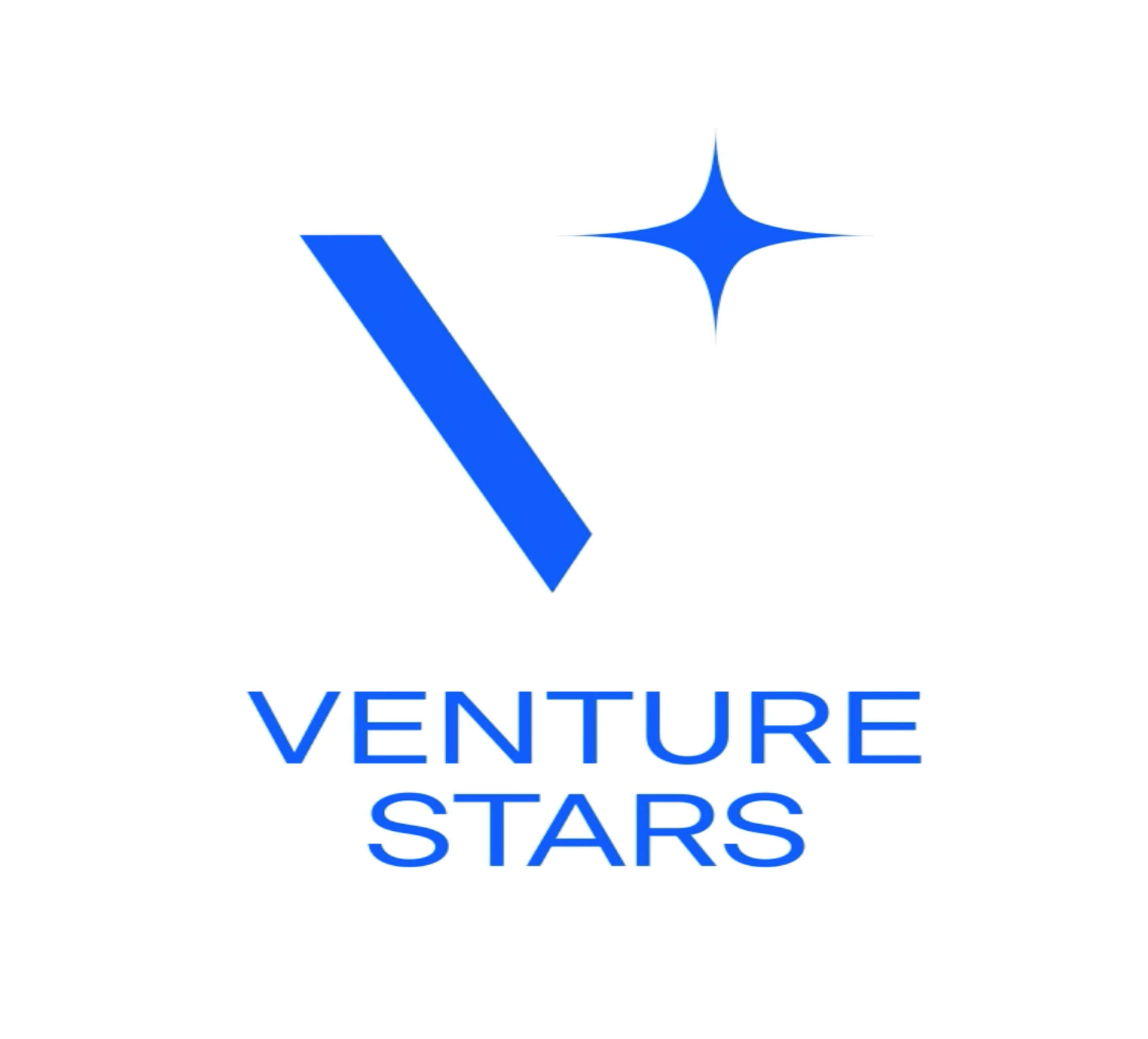 Company Builder Venture Stars