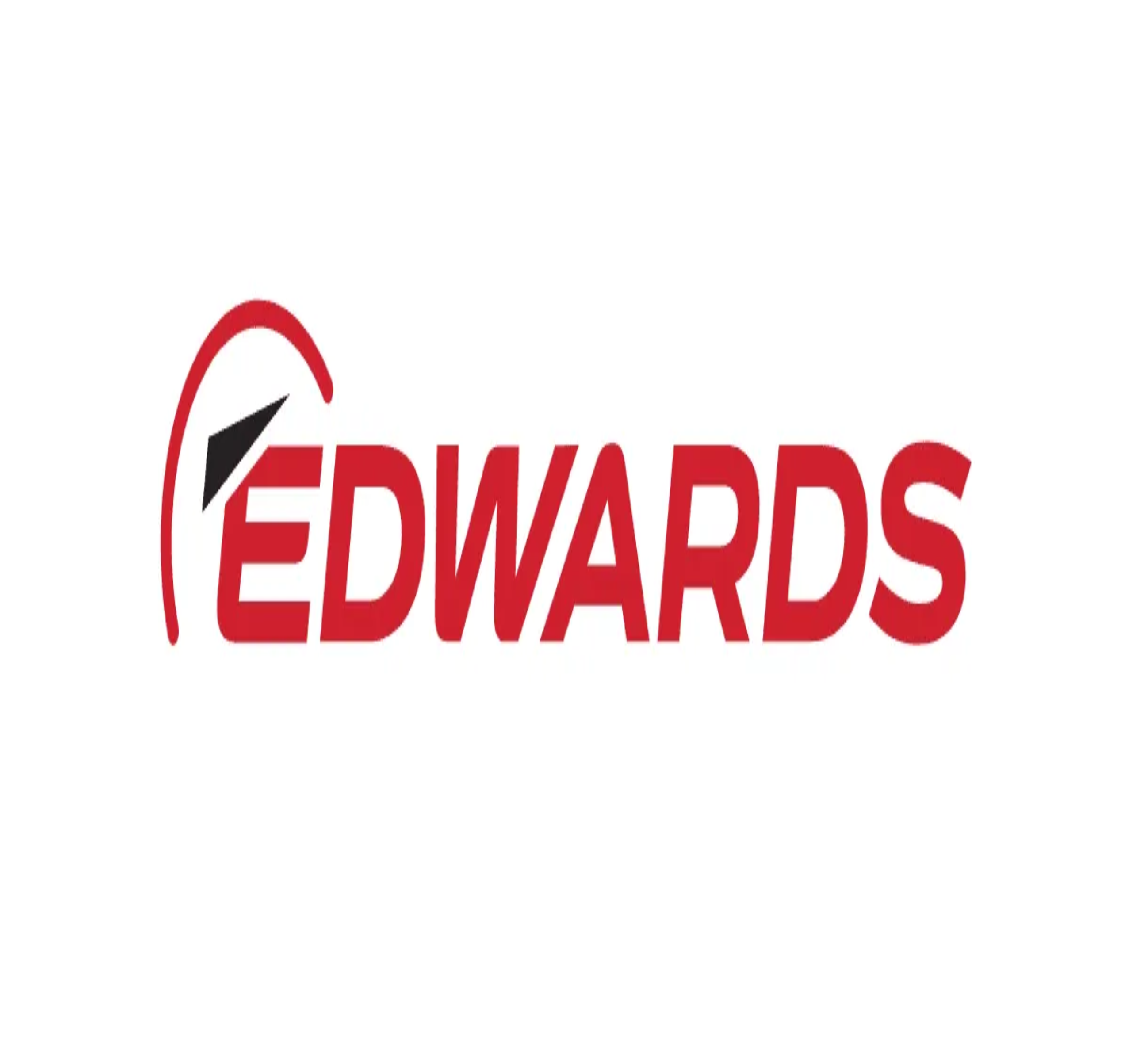 EDWARDS GROUP plc