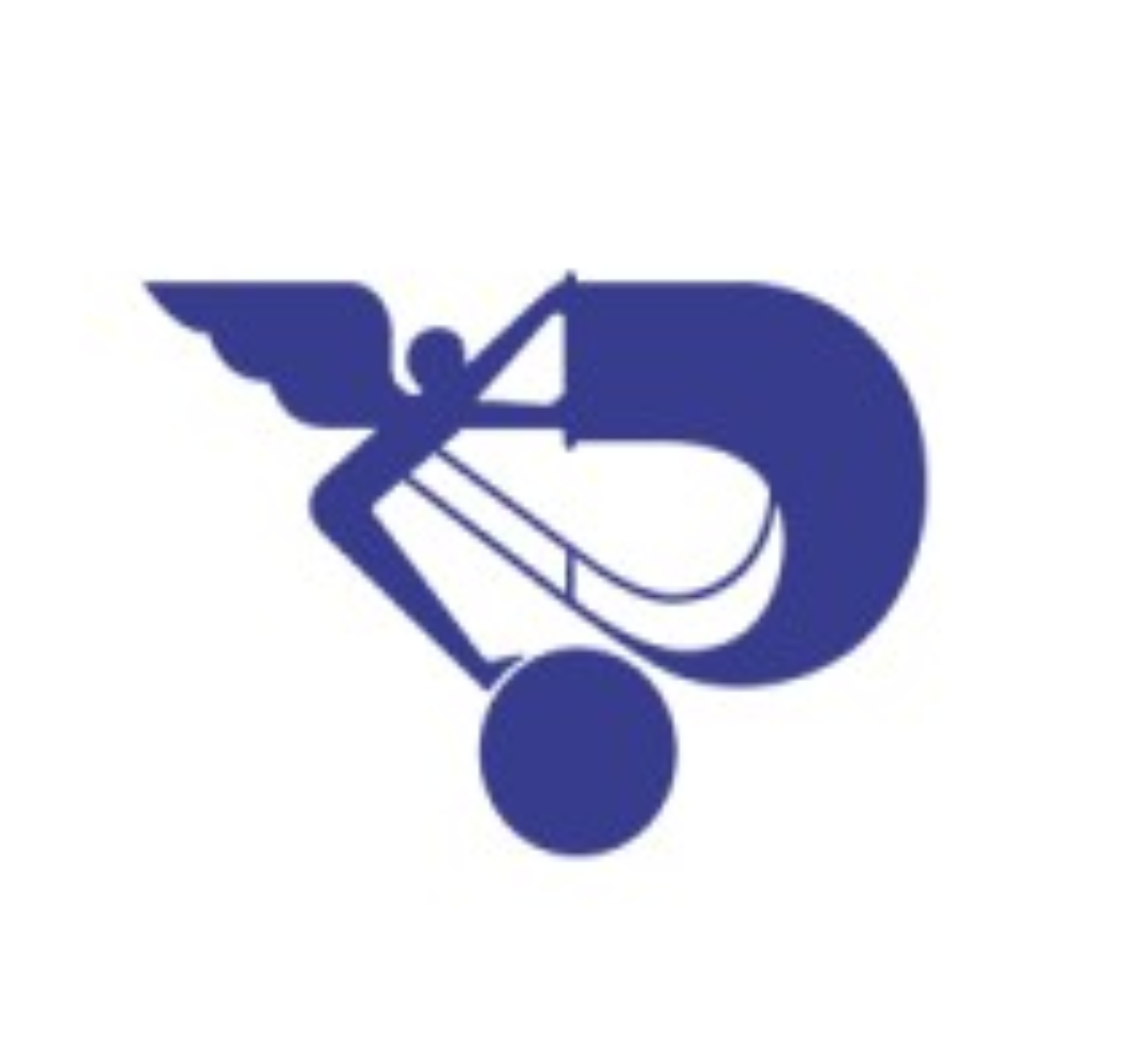 Panalpina Welttransporte GmbH