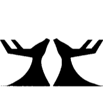 Hirschmann Engineering AG