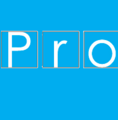 Pro-Data Service AG