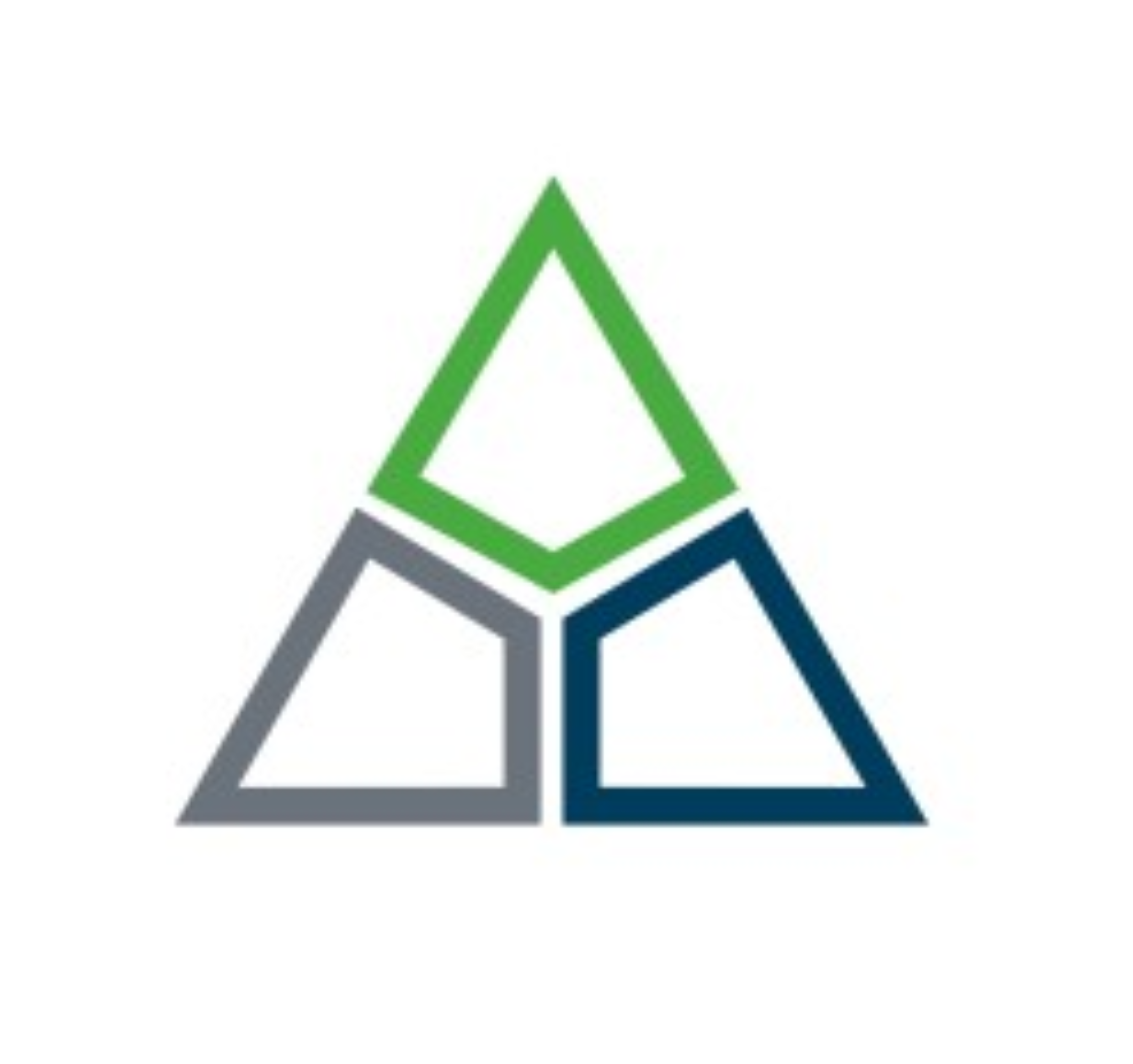 Delta Consulting Group AG