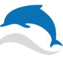 Dolphin IT GmbH