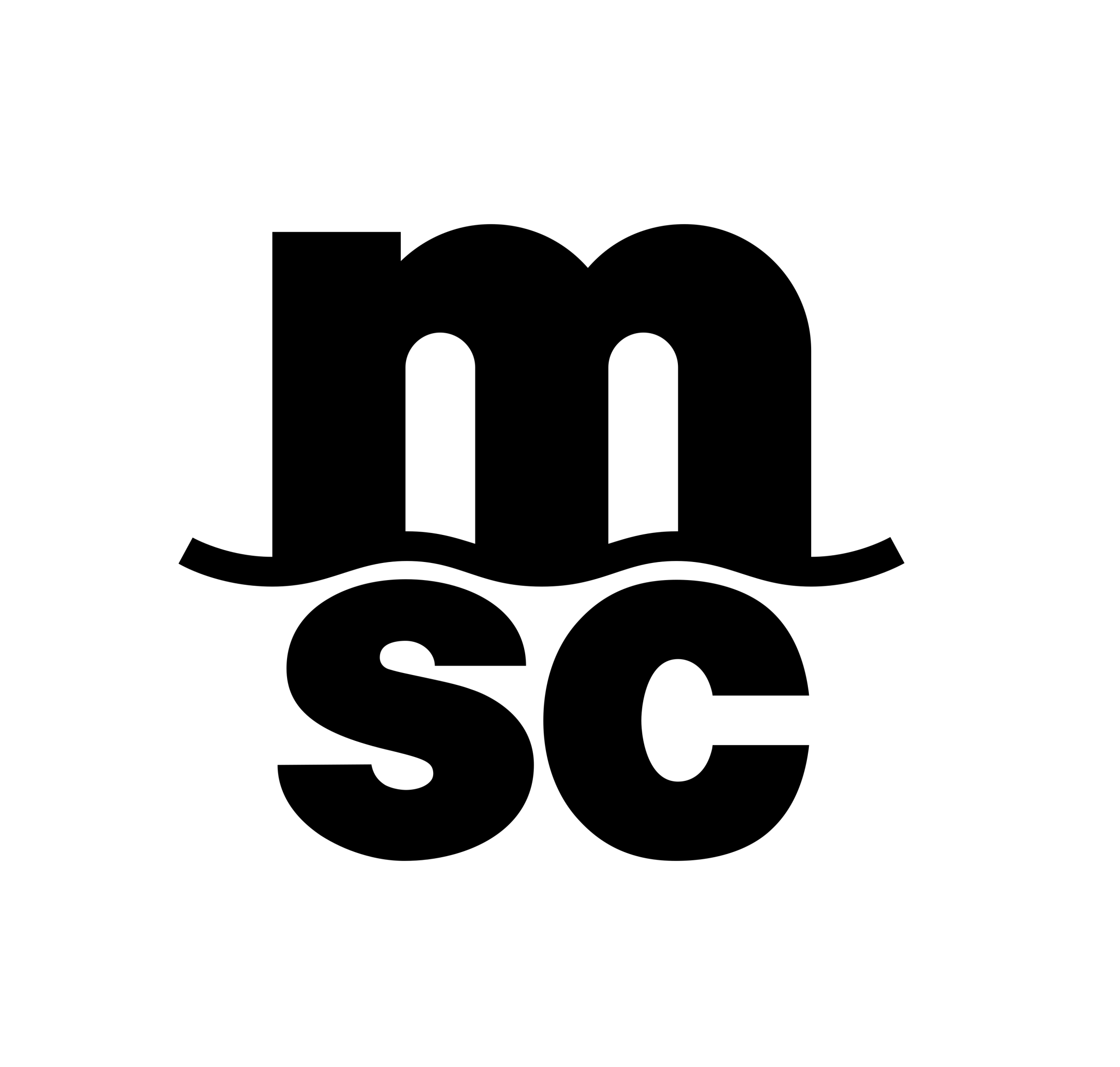 MSC Mediterranean Shipping Company