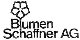 Blumen Schaffner AG
