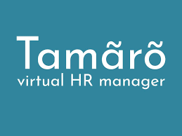 Tamaro Systems Ltd